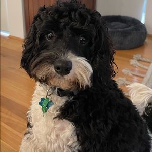 Meet your Posher, Melanie